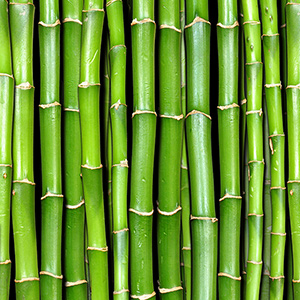 Realizzato con materiale Bamboo